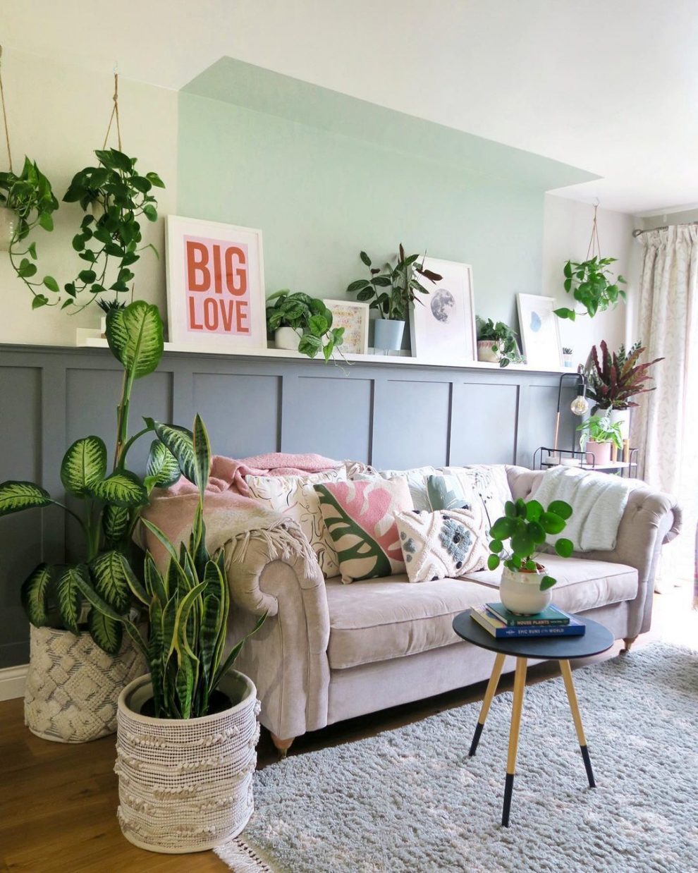 Plantas para Sala Decoração Ornamentais e Apartamento Dicas Decor