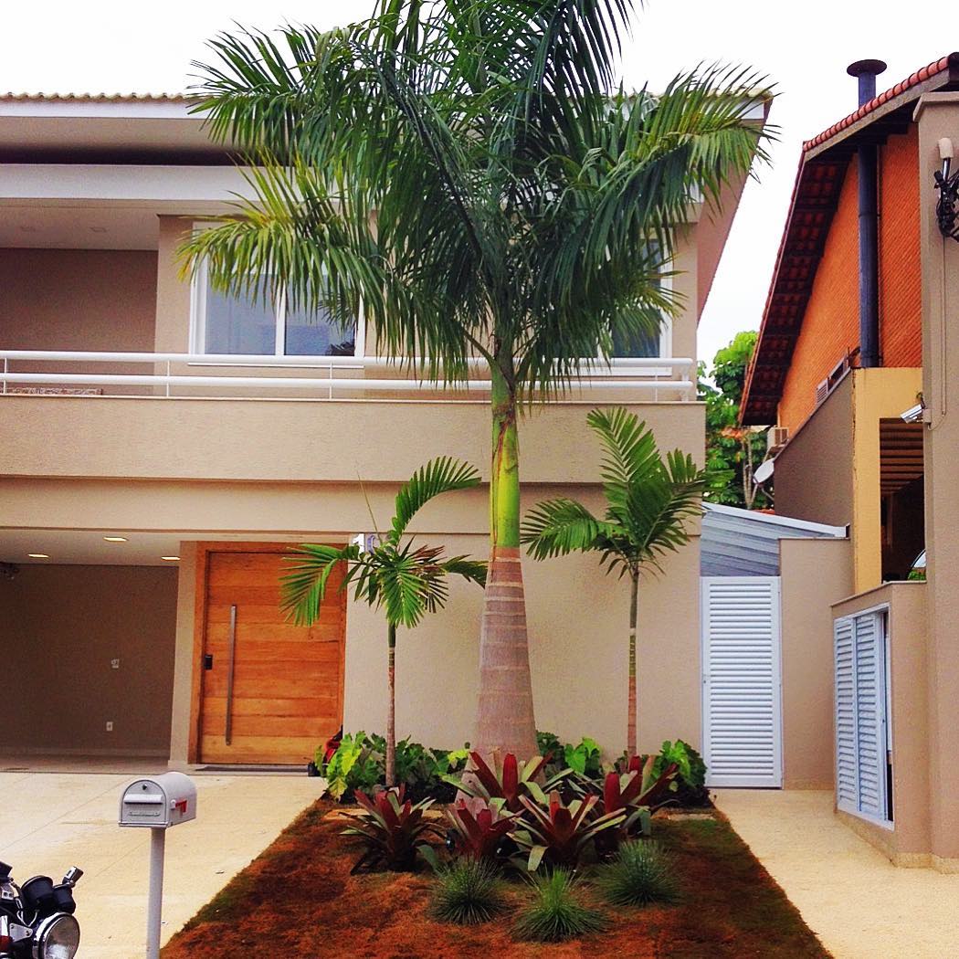palmeira-imperial-jardim